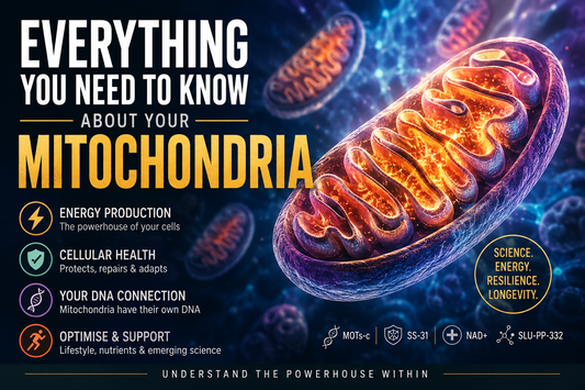 Everything You Need to Know About Your Mitochondria