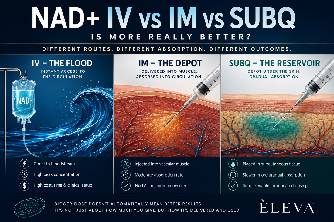 NAD+ IV vs IM vs SubQ: Is More Really Better?
