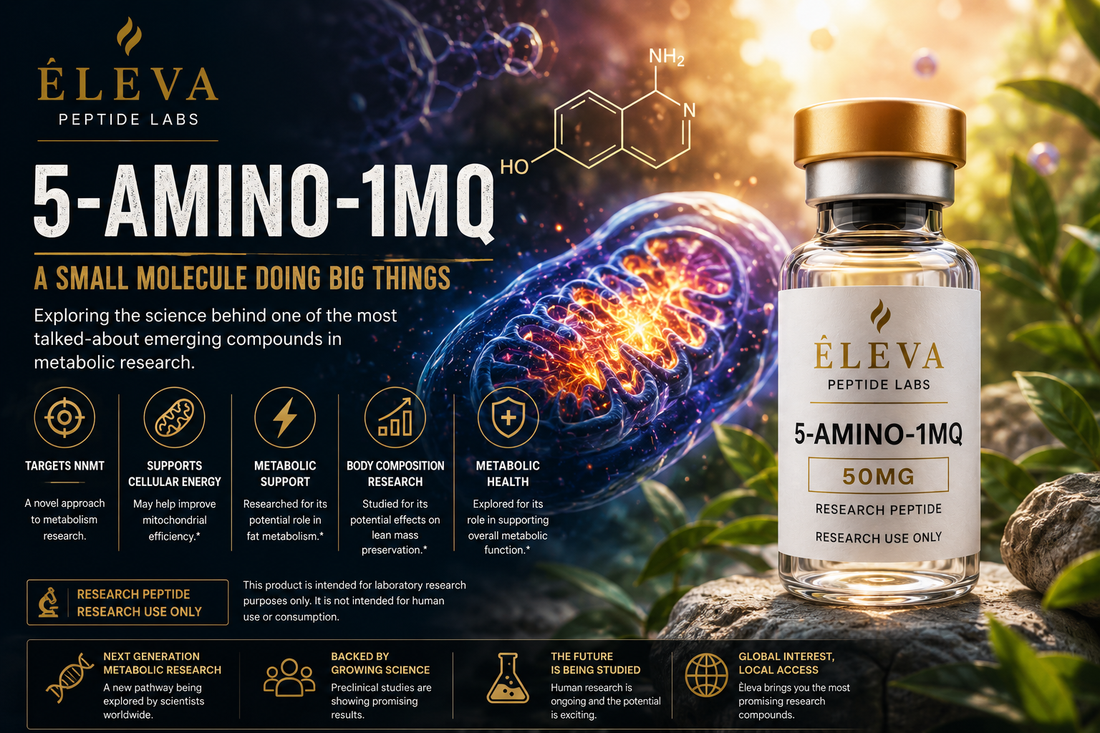5-Amino-1MQ: A Small Molecule Doing Big Things