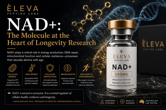NAD+: The Molecule That Keeps Showing Up in Longevity Research