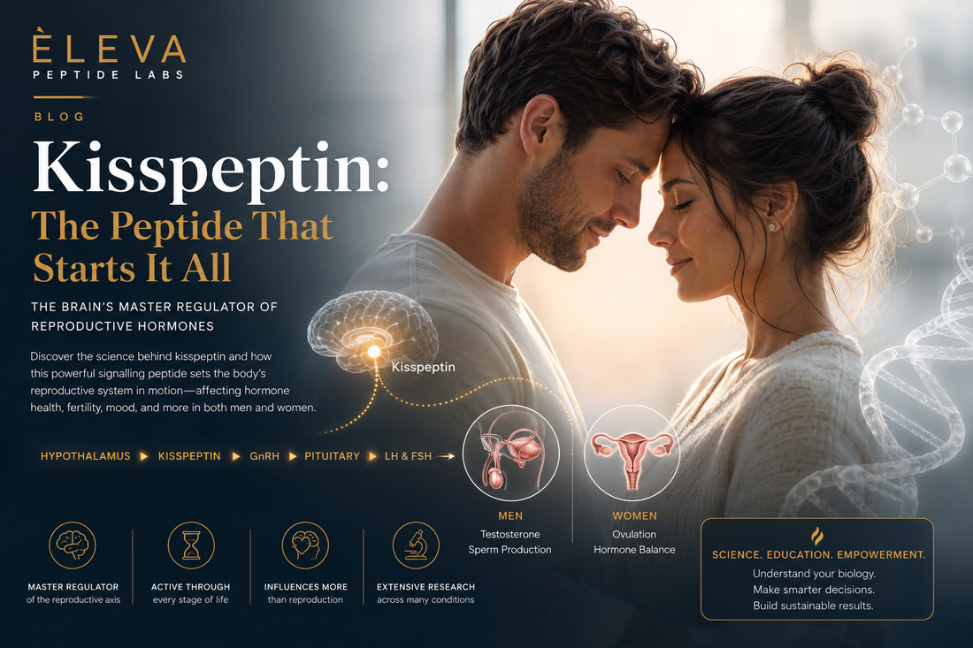Kisspeptin: The Peptide That Starts It All