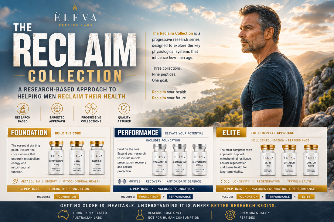 The Reclaim Collection