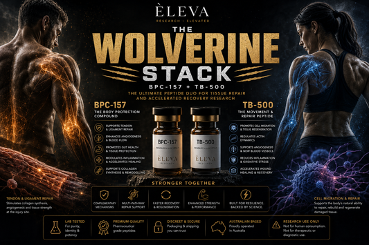 Wolverine Stack: Let's claw our way through it!