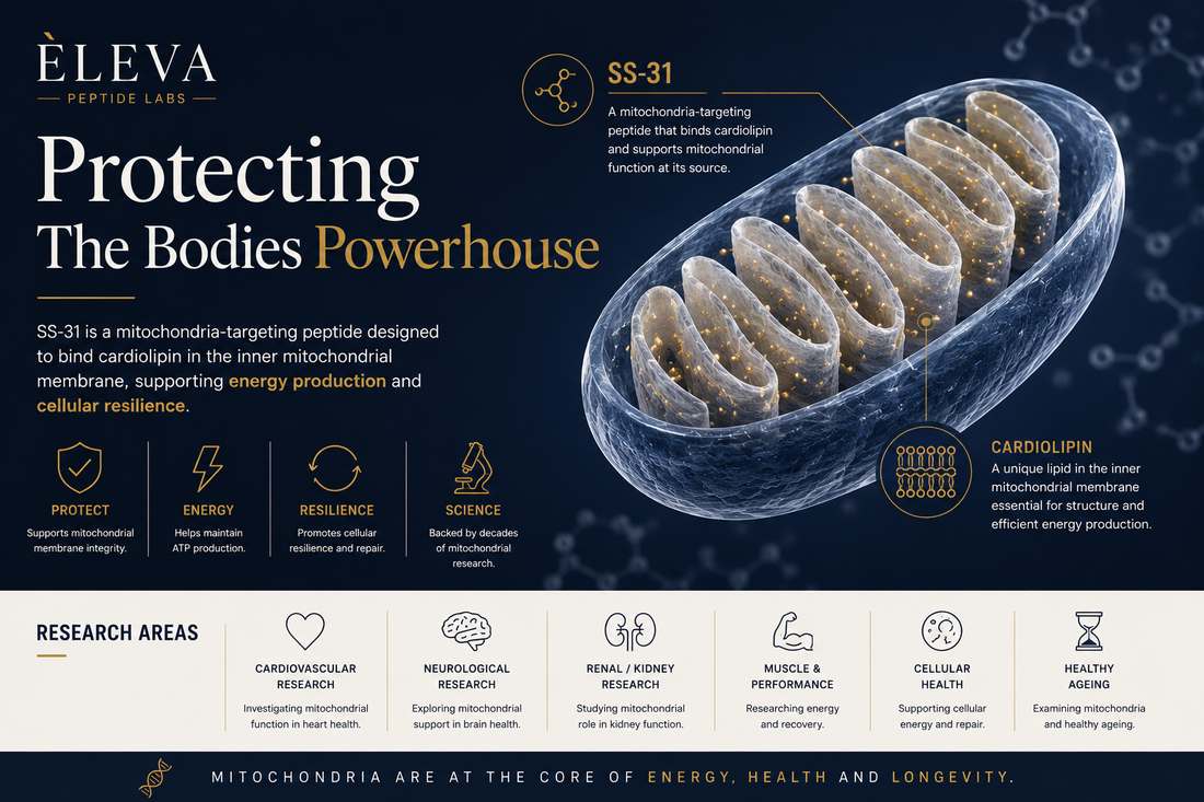 SS-31: Protecting The Bodies Powerhouse