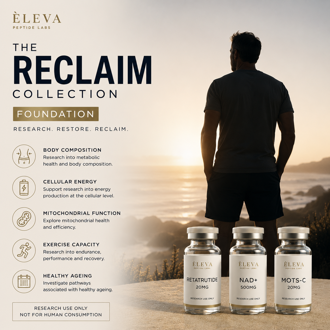 The reclaim Collection - Foundation