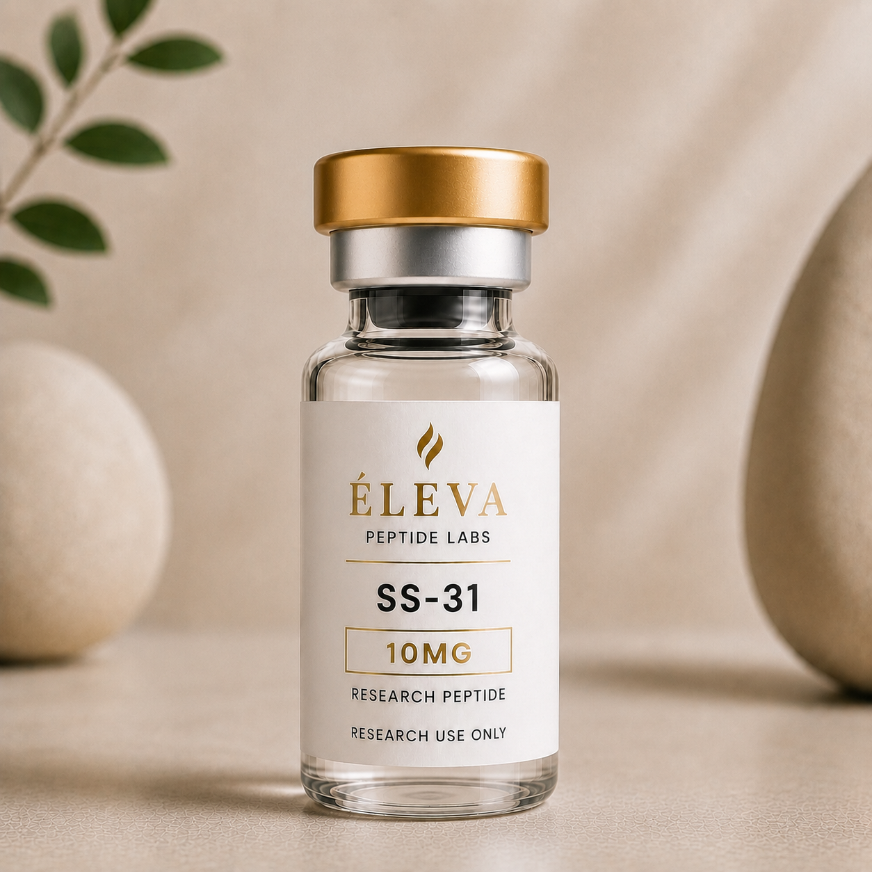 SS-31 10mg